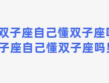 双子座自己懂双子座吗 双子座自己懂双子座吗男生